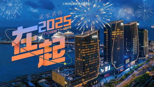 一起跨年迎接2025