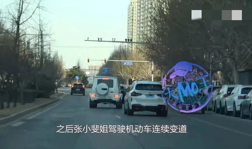 張小斐駕車違章記錄